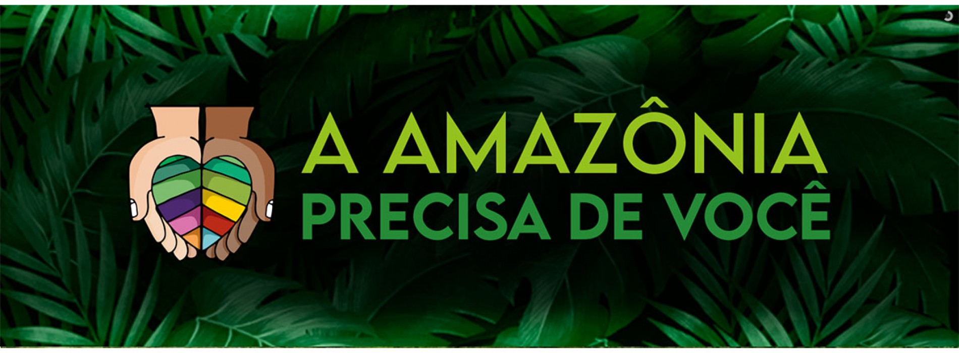 Campanha Solidária: “A Amazônia precisa de você”