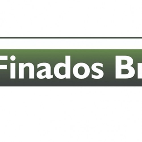 ARTIGO | “Finados Brasil” por Silvana Suaiden